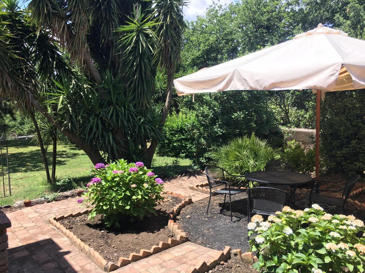 Bed&Breakfast Il Glicine Piedimonte Etneo Exterior foto