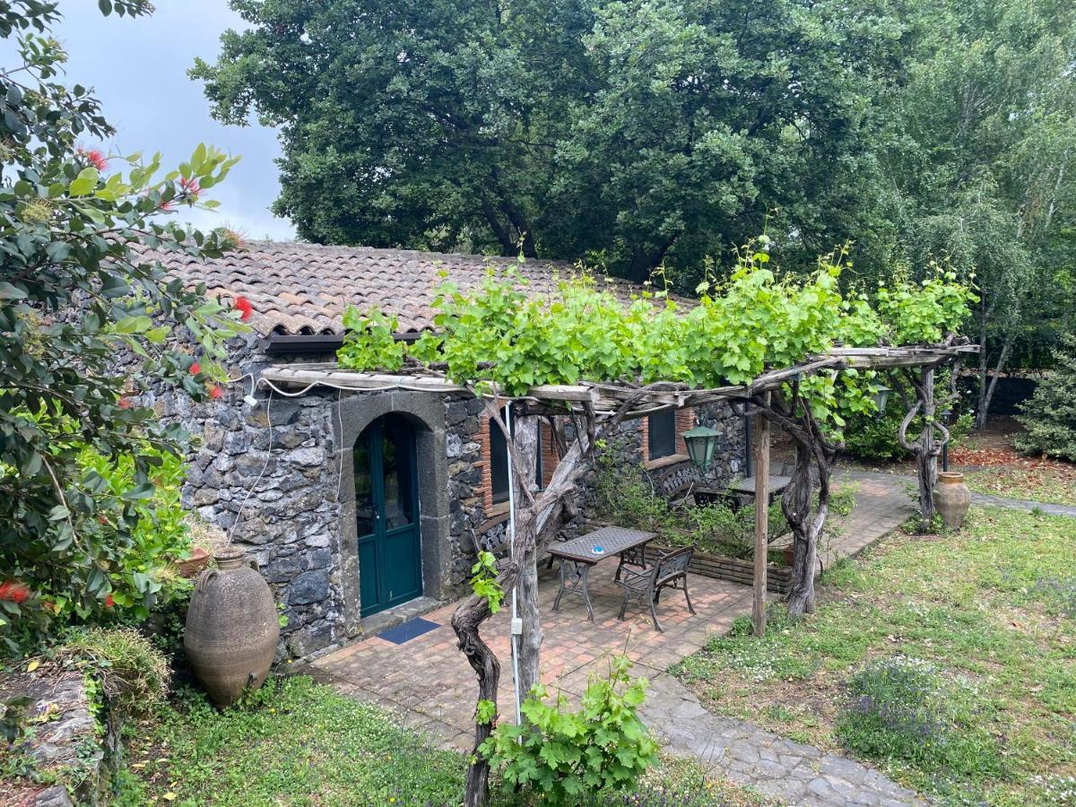 Bed&Breakfast Il Glicine Piedimonte Etneo Exterior foto