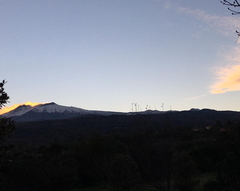 Bed&Breakfast Il Glicine Piedimonte Etneo Exterior foto